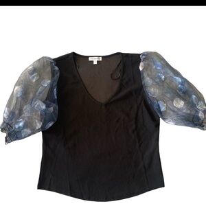 Chiffon sleeve romantic top size large